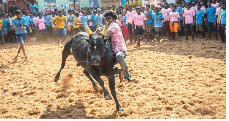Tamil Nadu Culture