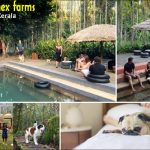 Kerala Best Tourist Places to Explore