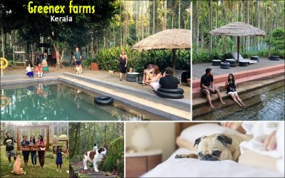 Kerala Best Tourist Places to Explore