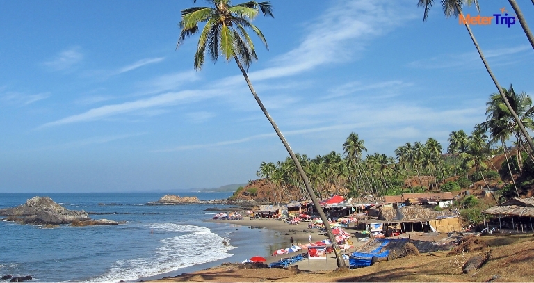 Goa Travel Guide! From Hidden Places to Hidden Beaches!