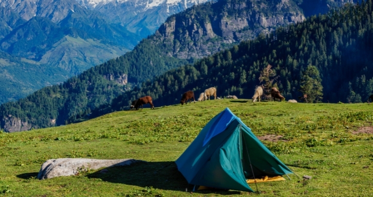 Top Skiing Retreats in Himachal Pradesh for a Perfect Winter Escapade