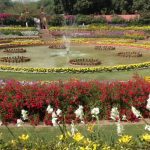 Mughal Garden Delhi 2025: A Walk Through India