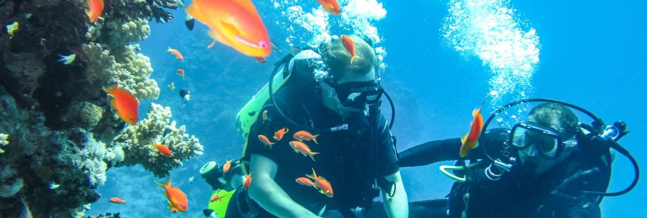 Best Scuba Diving India: Top Spots