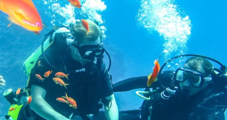 Scuba Diving Adventures In India