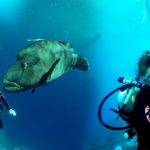 Deepest Part of the Ocean: Explore Once-in-a-Lifetime