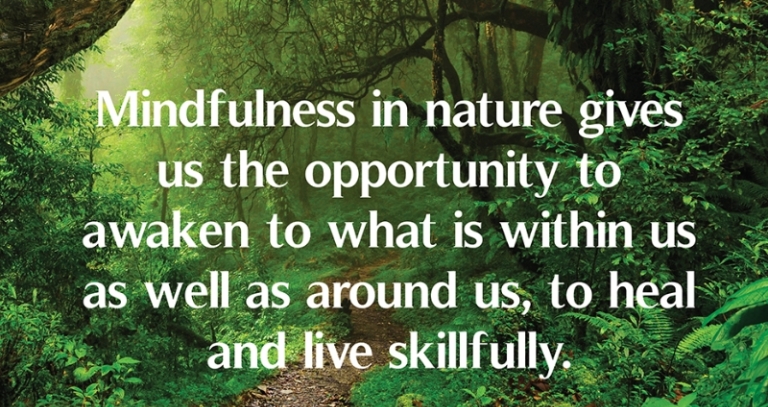 How Nature is Healing These Days: Positive Impact of COVID-19 On Environment