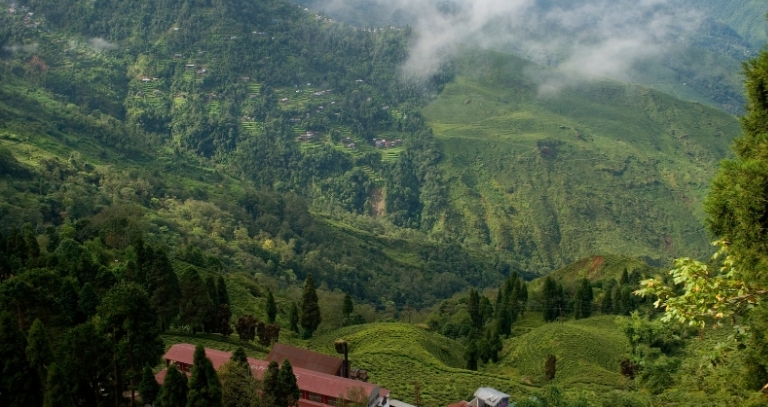 Your Guide To Adventurous Holidays In West Bengal