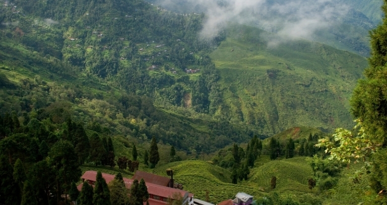 Your Guide To Adventurous Holidays In West Bengal
