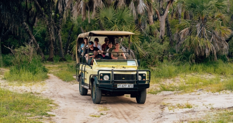 Everything you need to know about wildlife safari holiday destinations in India