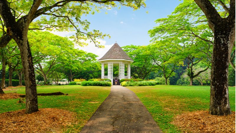 Admire The Lush Green Ambience Of Singapore Botanic Gardens