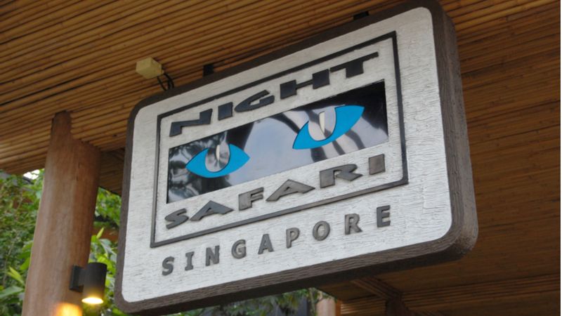 Singapore Night Safari: Meet The Wild