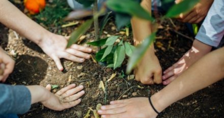 What You Can Do At Home To Celebrate Earth Day 2020 | 50th Anniversary Of Earth Day