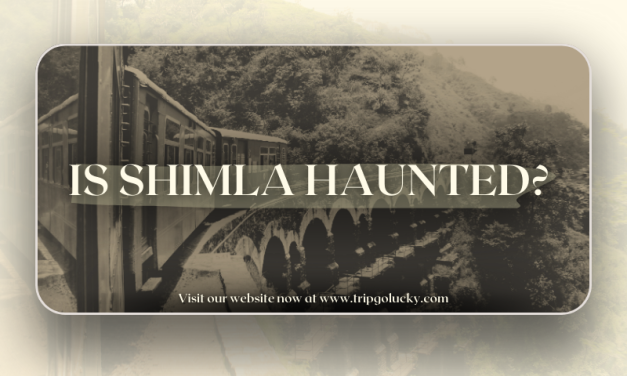 Is Shimla Haunted? 7 Real Places Locals Avoid