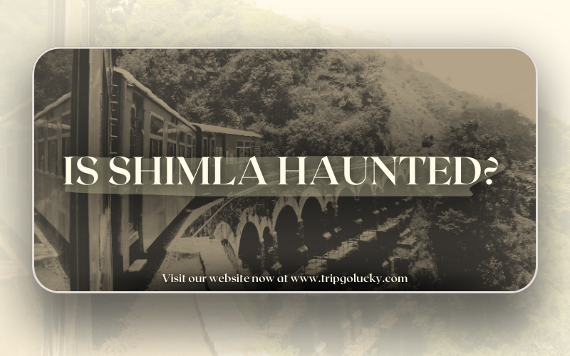 Is Shimla Haunted? 7 Real Places Locals Avoid